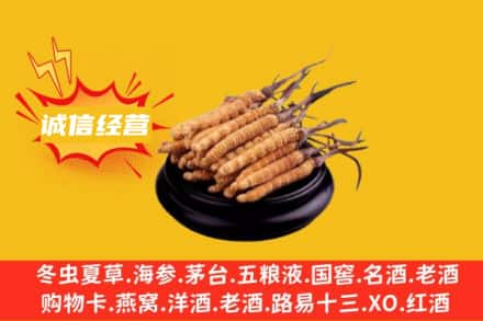 西宁回收冬虫夏草